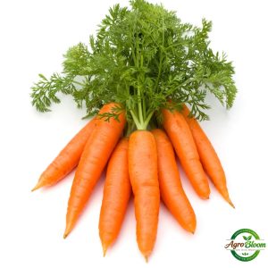 carrot seeds (50+ pack) – කැරට් බීජ