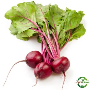 carrot seeds (50+ pack) – කැරට් බීජ