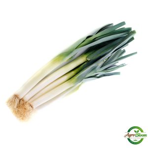 carrot seeds (50+ pack) – කැරට් බීජ