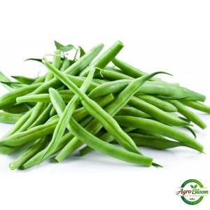 carrot seeds (50+ pack) – කැරට් බීජ
