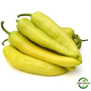 carrot seeds (50+ pack) – කැරට් බීජ