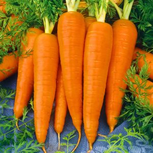 Home hyw capsicum seeds (20+ pack) – මාළු මිරිස් බීජ
